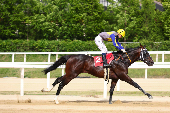 [경마]제17회 오너스컵, 코리아 프리미어의 서막 오른다!