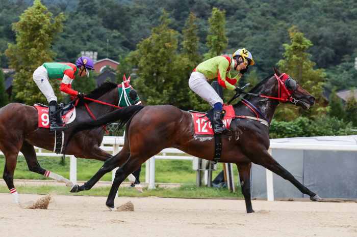 [경마]제17회 오너스컵, 코리아 프리미어의 서막 오른다!