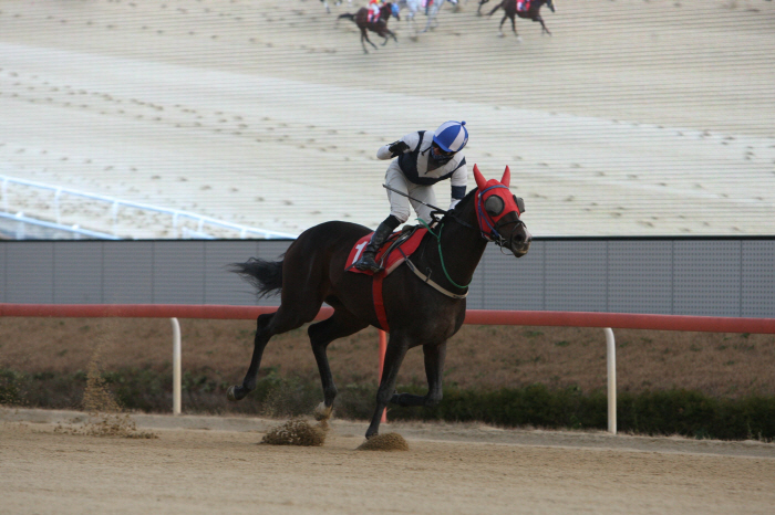 [경마]제17회 오너스컵, 코리아 프리미어의 서막 오른다!