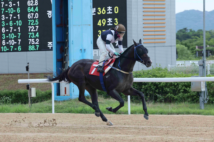 [경마]'스피드영' 1600m 신기록으로 제17회 오너스컵 우승