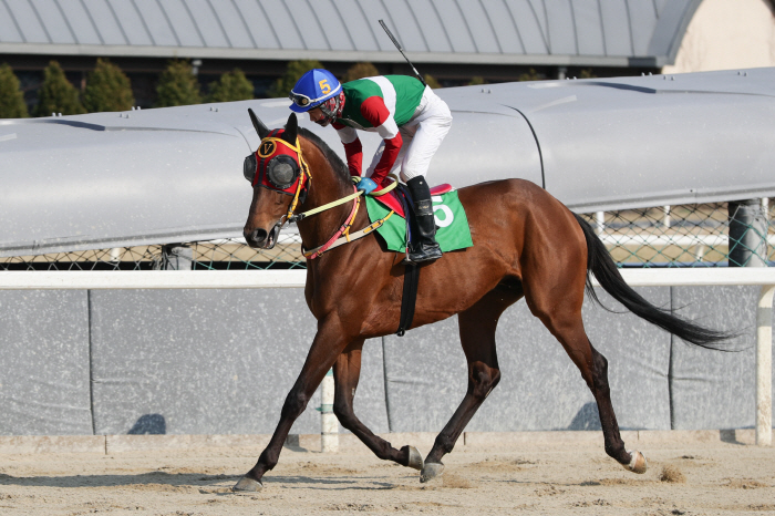 [경마]서울경마 최상위권으로의 도약을 위한 1등급 2000m 경주