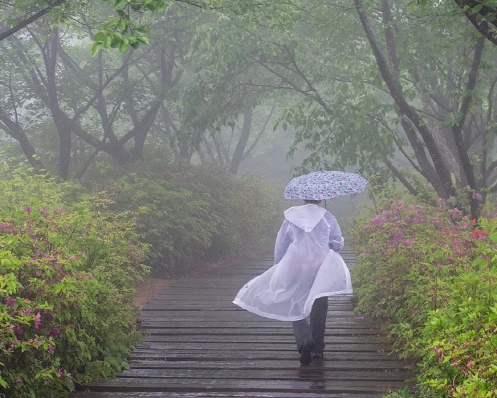 고온다습한 장마철, 만성질환 주의보…심뇌혈관 질환 발생 증가