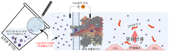 종이컵에 머리카락 10만분의 1보다 작은 초미세 플라스틱 '가득'