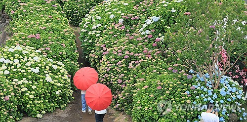 제주 흐리고 곳에 따라 비…낮 최고 31∼34도