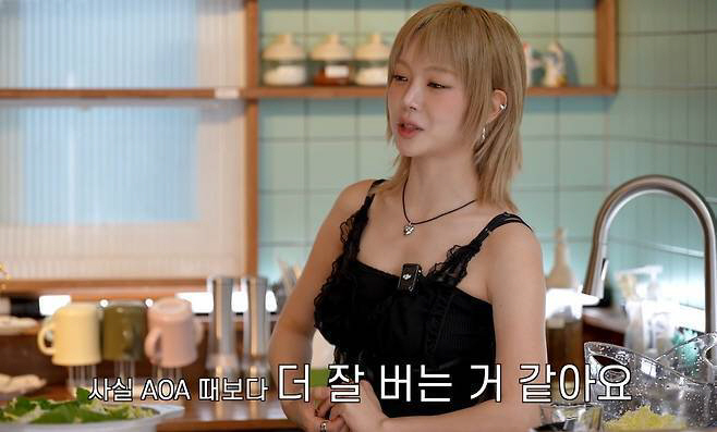 '42만 유튜버' 초아 "AOA 탈퇴 악플, 지금 더 잘 번다"(지편한세…