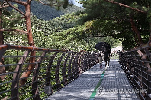 설악향기로 개통 이후 다시 북적이는 속초시 설악동