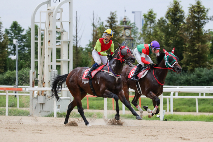 [경마] K경마의 글로벌 축제, 코리아컵&스프린트 3주 앞으로