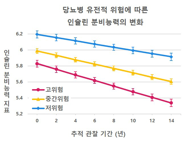 "당뇨병 유전적 고위험군, 인슐린 분비기능 1.8배 빨리 감소"