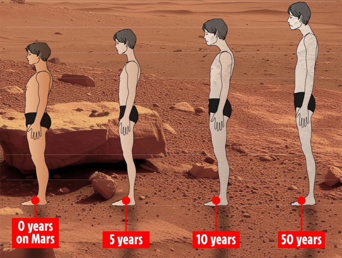 "미래 화성 거주민, 둥근 얼굴에 긴 척추와 팔다리 가질 것"