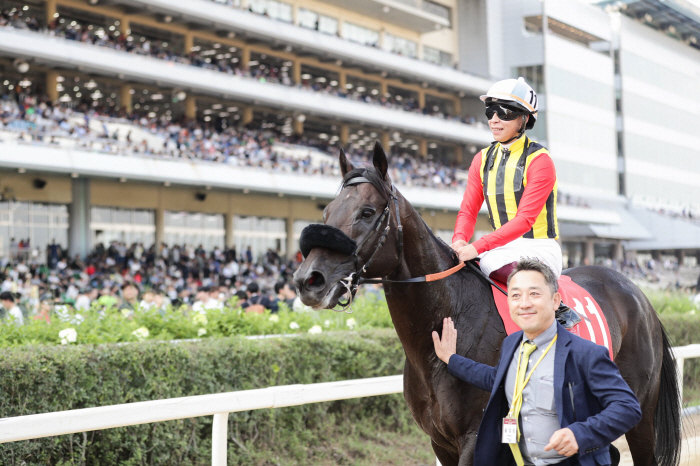 [경마]세계무대 파죽지세 일본 경주마, 코리아컵&코리아스프린트  2연패.…