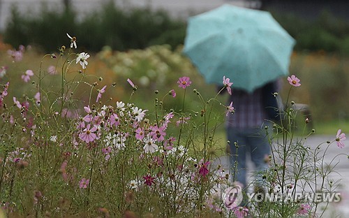 대구·경북 오후부터 흐려져…소나기 내리는 곳도