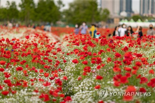 선착순 334명에 3만원 울산 숙박할인권 제공…관광객 유치