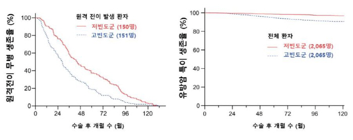 "유방암 치료 후 빈번한 전이 검사, 생존율 향상에 큰 영향 없어"