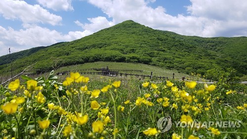 인제군, 8월 관광객 증가율 1위…강원 대표 관광도시 자리매김