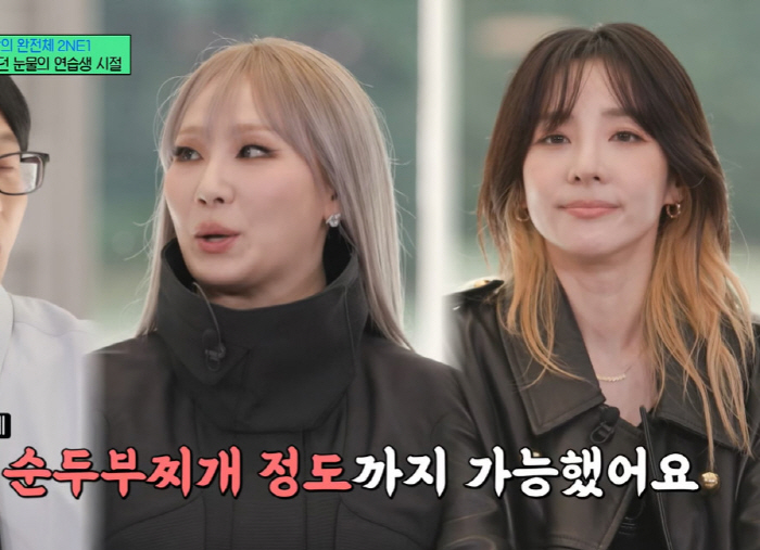 2ne1도 차별 당했다...연습생 시절 폭로 "산다라박만 메뉴 달라" (…