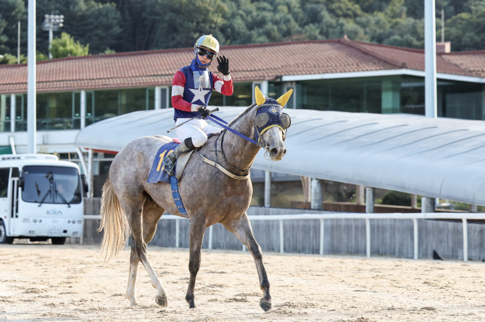 [경마] 제20회 농협중앙회장배, '캡틴피케이' 2세 신인왕 향해 한발 …