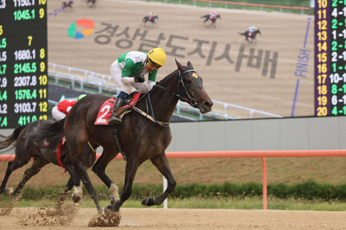 [경마] 제18회 경상남도지사배(GIII) '원더풀슬루' 2연패 달성