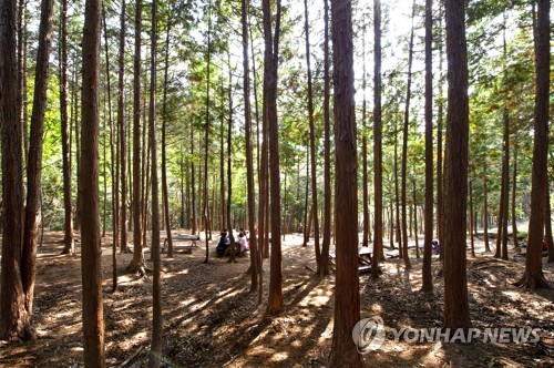 여행 인플루언서 통해 울산 북구 '관광 매력' 알린다