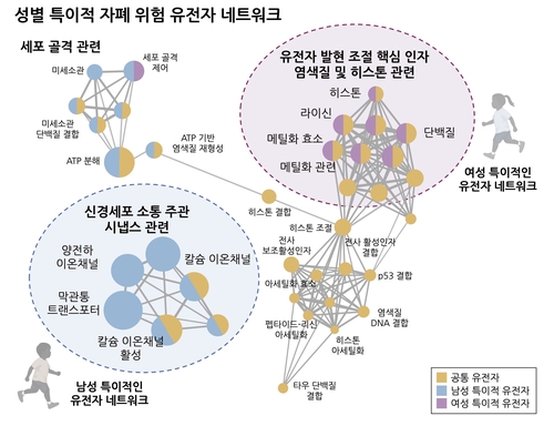 "남성 유병률이 여성의 4배" 자폐 유전자 성별 차이 밝혔다