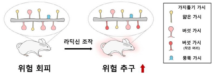 "뇌신경세포 조작으로 도박중독 조절 가능"