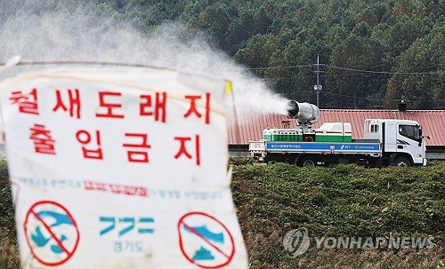 강원 동해 산란계농장서 AI 항원…올가을 가금농장 첫 사례