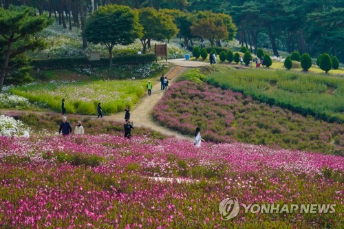 문체부, 열린관광지 20곳 신규 선정…DMZ 관광지·소수서원 포함