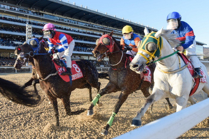 [경마] 한국마사회, 2024년 11월 경마시행계획 발표