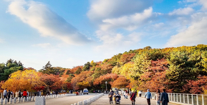 가울의 여유 가득' 서울랜드, 다양한 볼거리 등 이색 체험도