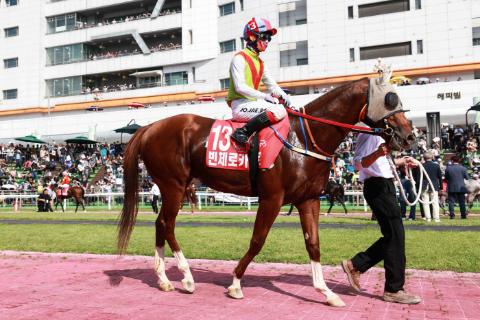 [경마]제17회 국제신문배, 최강 중단거리 최강馬 놓고'신구격돌'