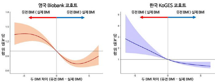 "유전적 예측보다 더 비만, 2형당뇨병 위험 3배 증가"