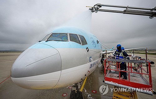 대한항공 항공기서 '비상구 접근 난동'…포박 후 공항경찰 인계