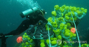 반복되는 인명피해 해상사고…돌발 상황에 속수무책