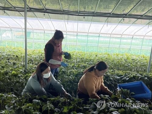 등록외국인만 2만명 김해시 "휴일에 무료 건강검진받으세요"