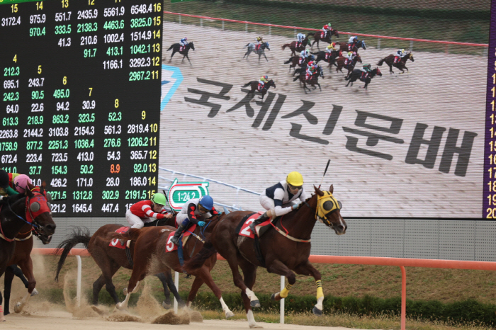 [경마]0.2초 차이…국제신문배 대상경주 '강서 자이언트' 우승