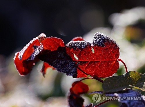 뚝 떨어진 기온…전북 낮 최고 11∼13도