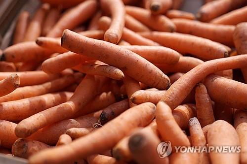 美 18개주서 '대장균 오염' 당근 유통…1명 사망