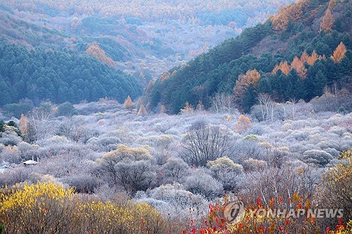 강원 아침 기온 '뚝'…내륙 낮 기온 9∼12도