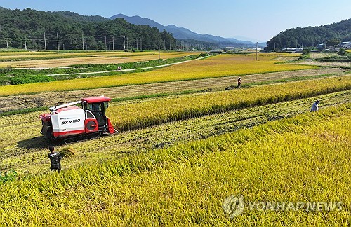 "내년 쓸 벼종자 신청하세요"…국립종자원, 정부 보급종 공급