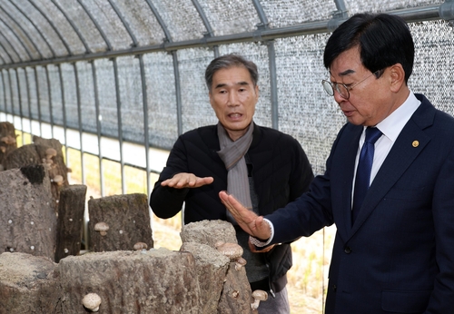 장흥군 '표고버섯 명가' 재건 추진…신품종 홍화 집중 육성