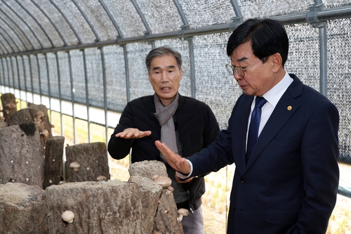 장흥군, 흥화 신품종 앞세워 '표고버섯 명가' 재건