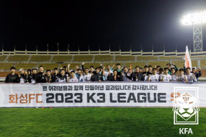 [단독]화성FC, 내년부터 K리그2 참가한다...초대 감독에 차두리 '유력'