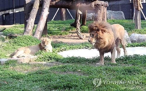 국내 1호 거점동물원 청주랜드, 동물복지대상서 우수상