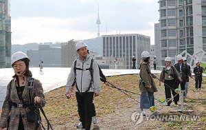 DDP 지붕 걷는 루프탑투어 시범운영…100명 모집에 6만명 몰렸다