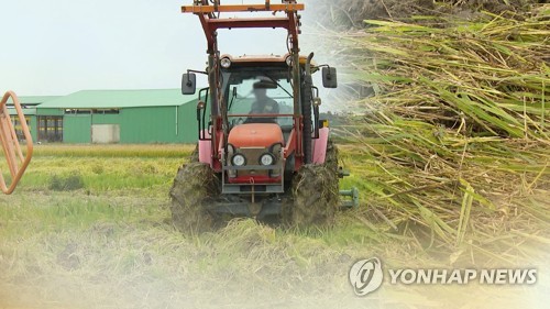 전북 벼 재배면적 줄고 전략작물 늘어…"전략작물직불제 영향"