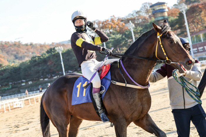 [경마]거구의'원평스톰' 넓은 주폭 자랑하며, '제18회 과천시장배' 우…