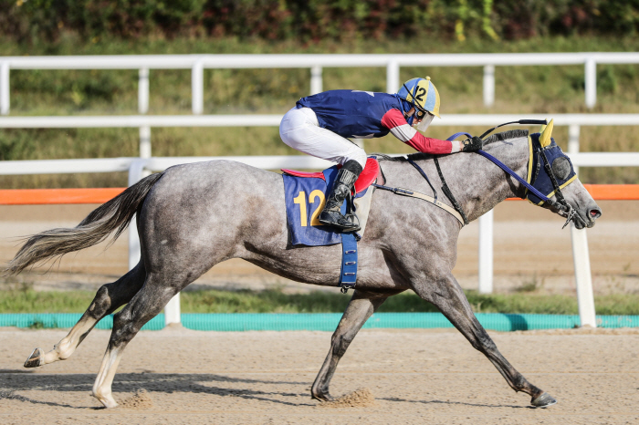 [경마] 2세 최강마 마지막 관문 제16회 브리더스컵 루키 24일 개최