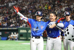 대만야구의 파란…일본 4-0으로 꺾고 프리미어12 우승