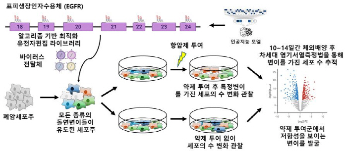 EGFR 폐암 환자 항암제 내성 돌연변이 탐색 기술 개발…95% 이상 밝…