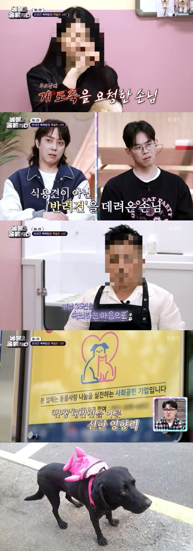 [SC이슈] "훔친 반려견 개소주 만들고 속죄?"…KBS '동물훌륭', …