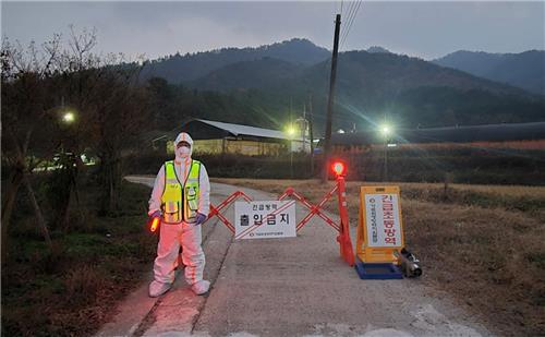 전남 강진 육용오리농장서 AI항원 검출…확산 차단